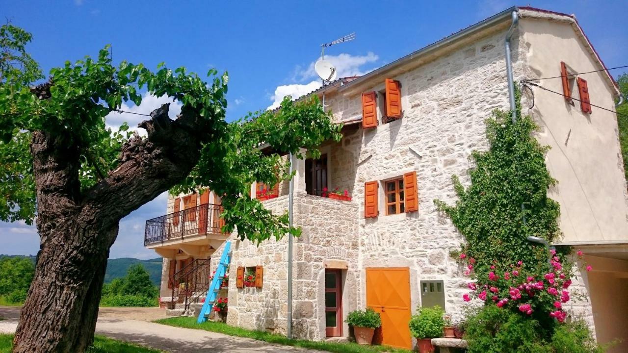 Villa Angela E Giovanni Vizinada Екстер'єр фото